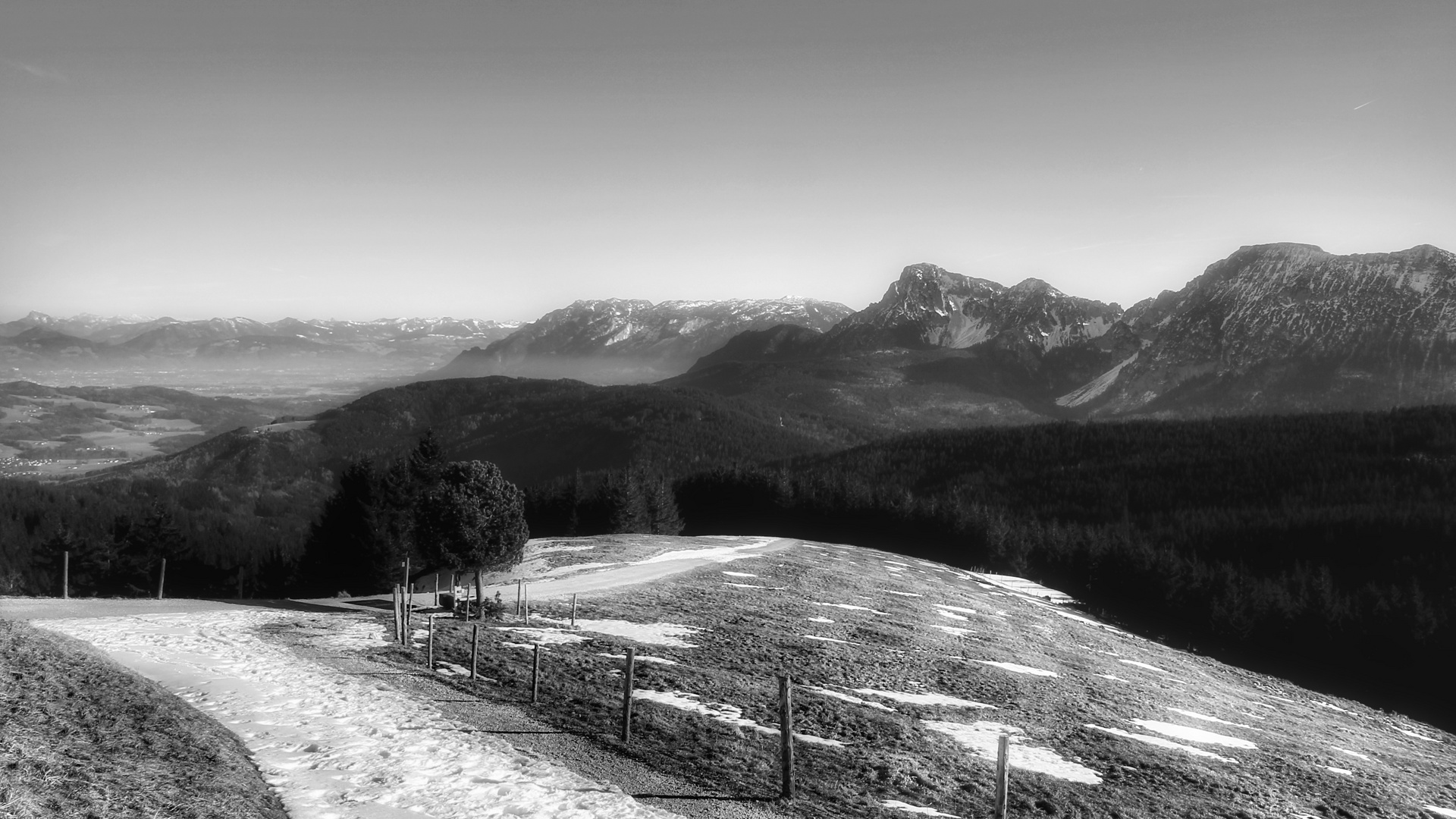 ^ weit_blick ^^^