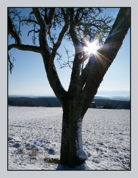 Weitblick