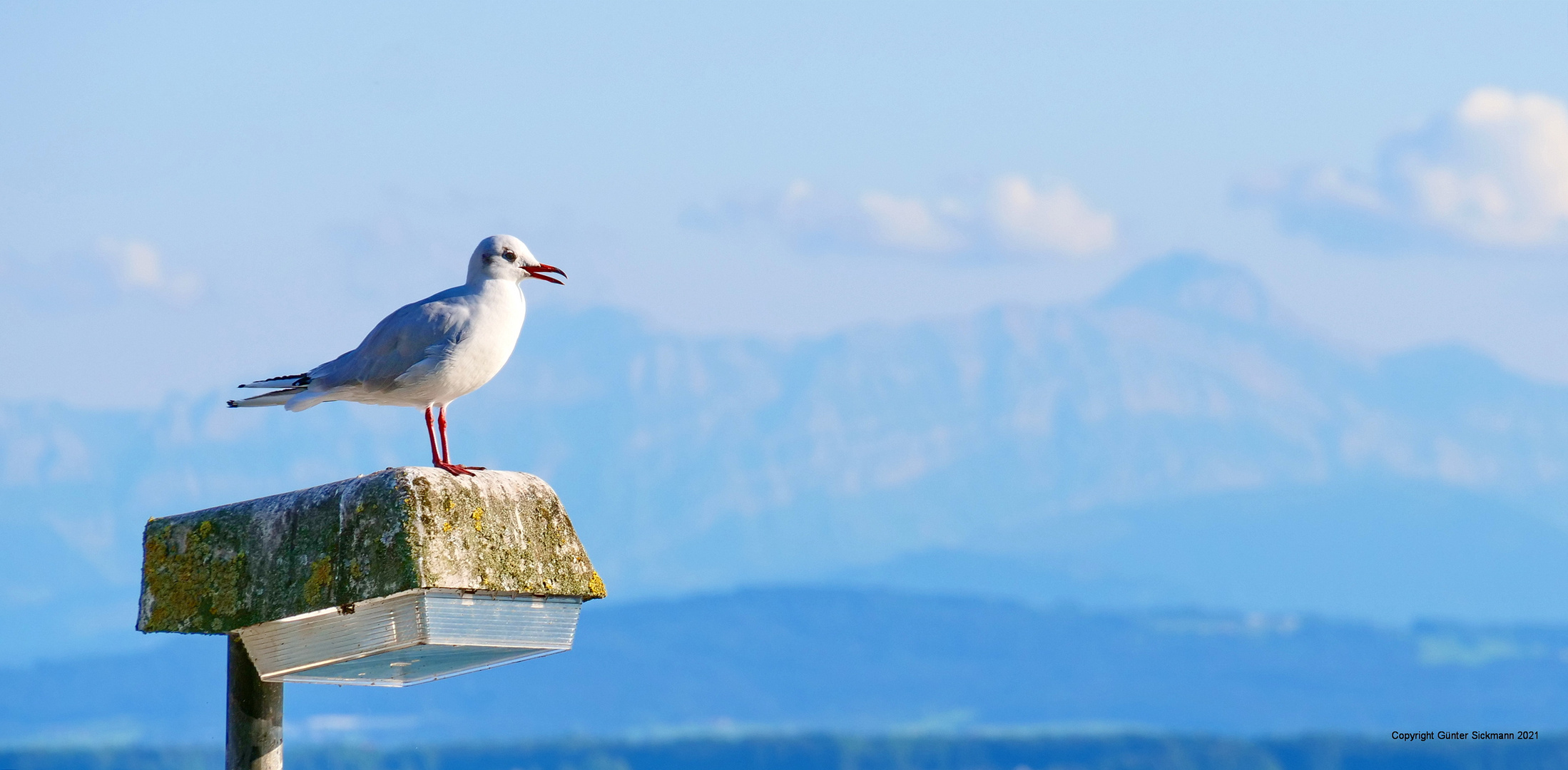 Weitblick.