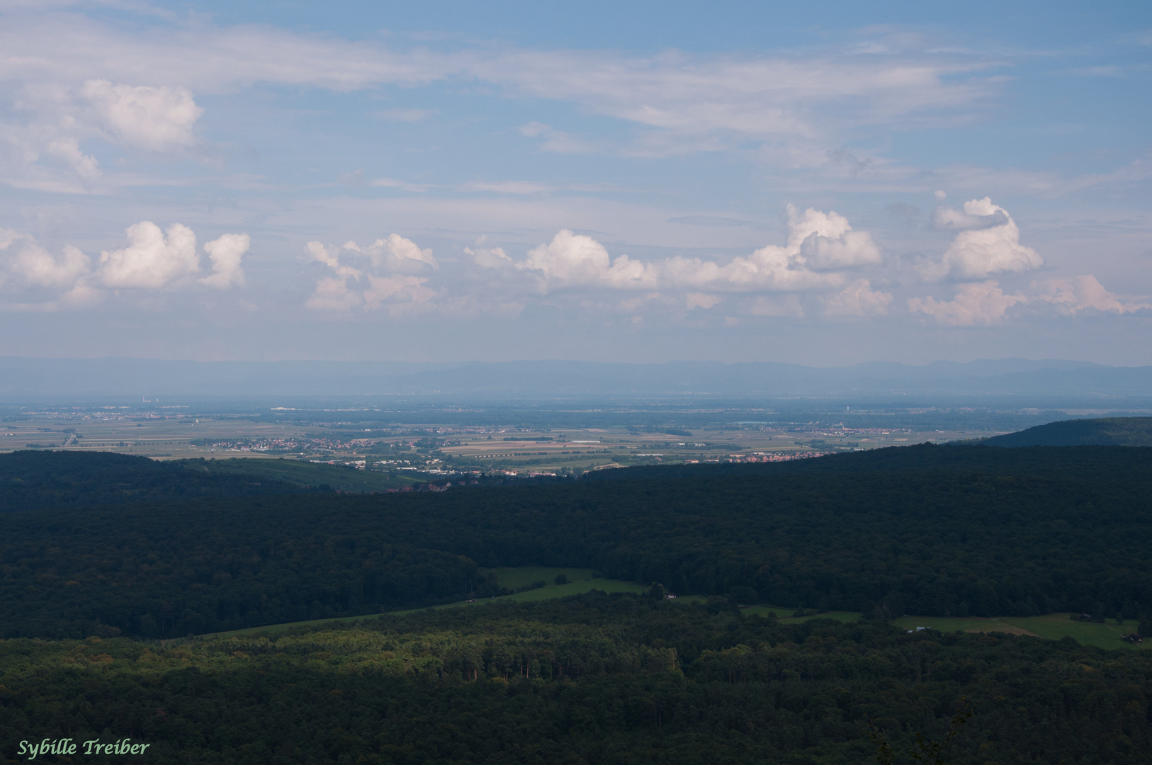 Weitblick