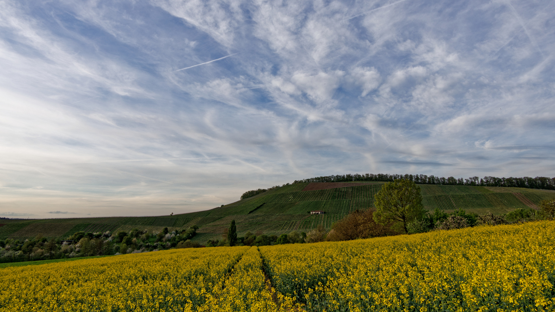 Weitblick...