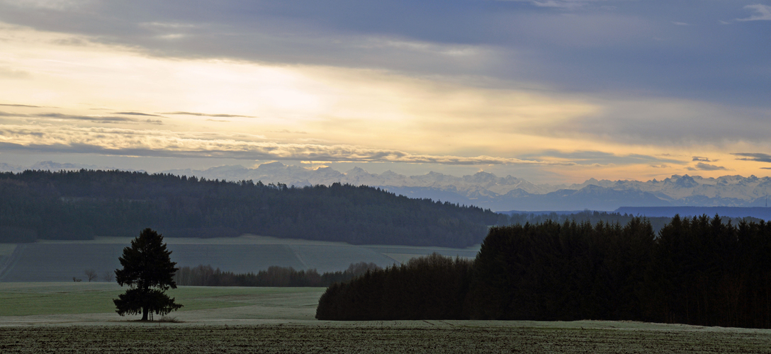 Weitblick