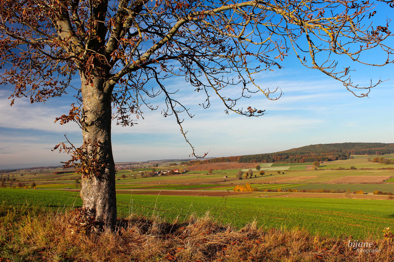 Weitblick