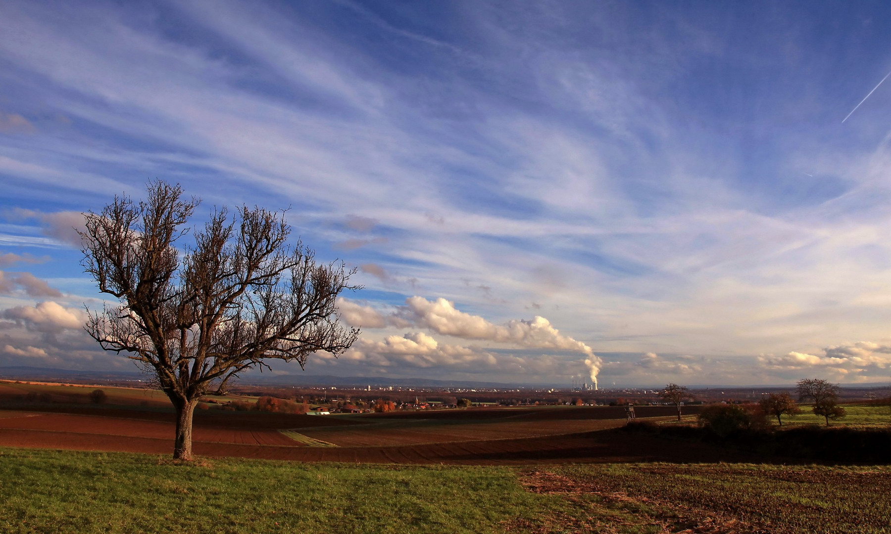 Weitblick