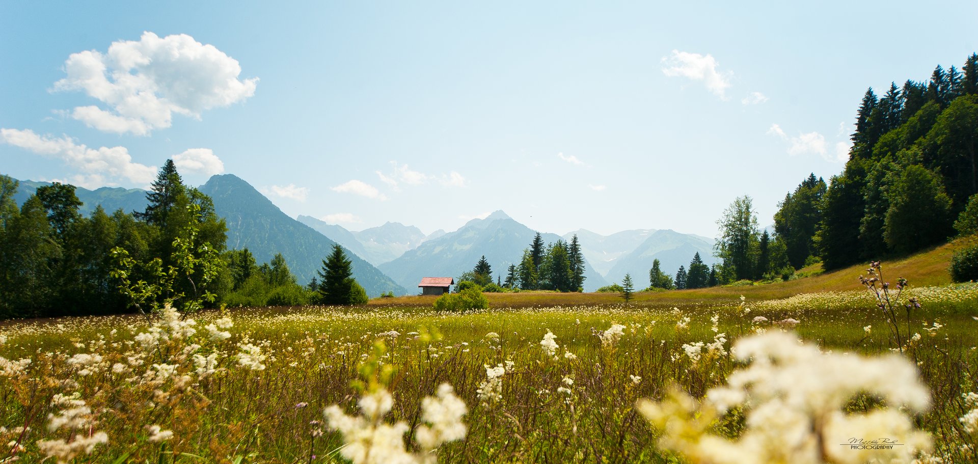 WEITblick