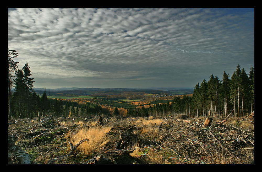 Weitblick am Rothaarsteig