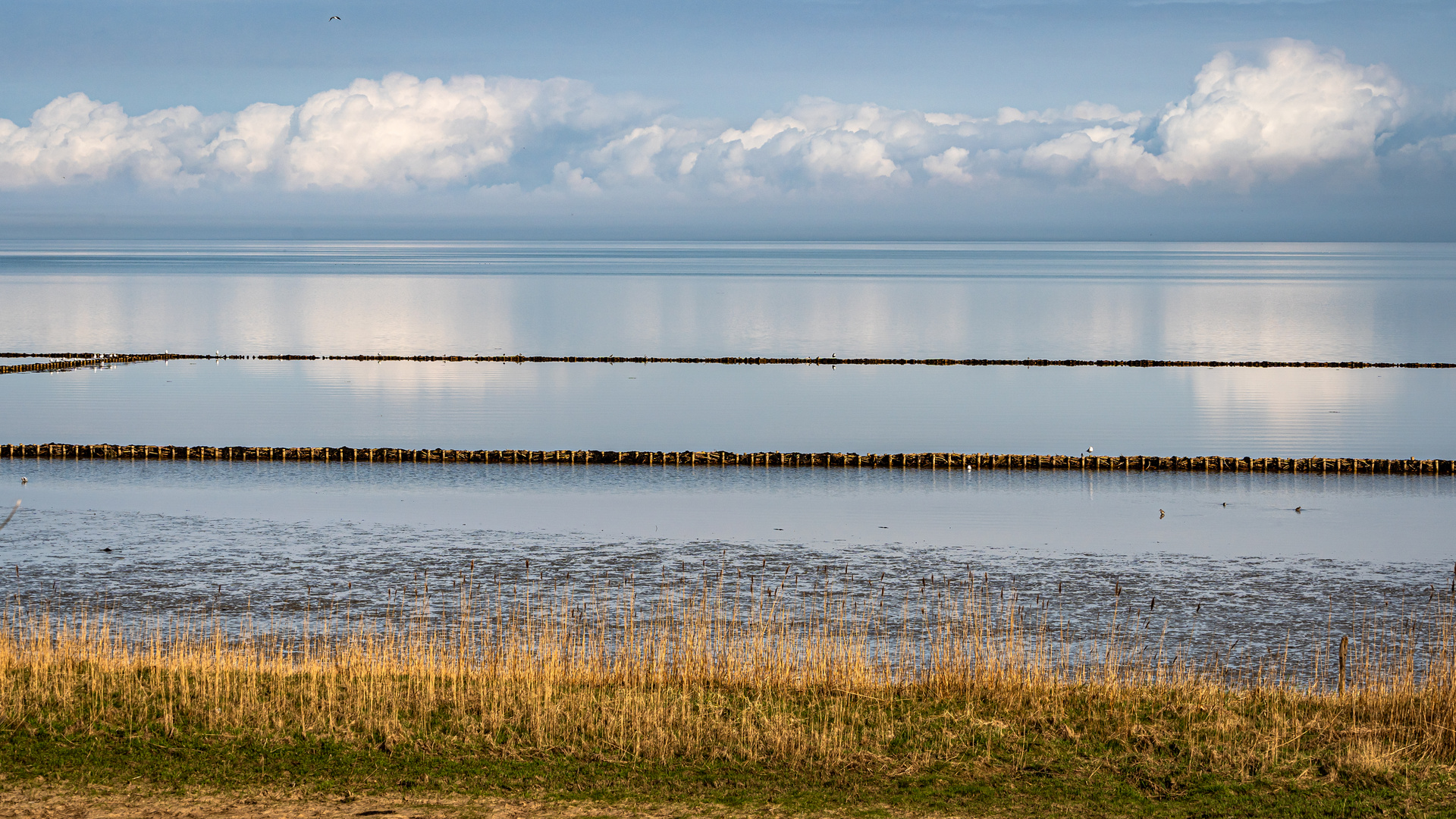 Weitblick auf das Watt