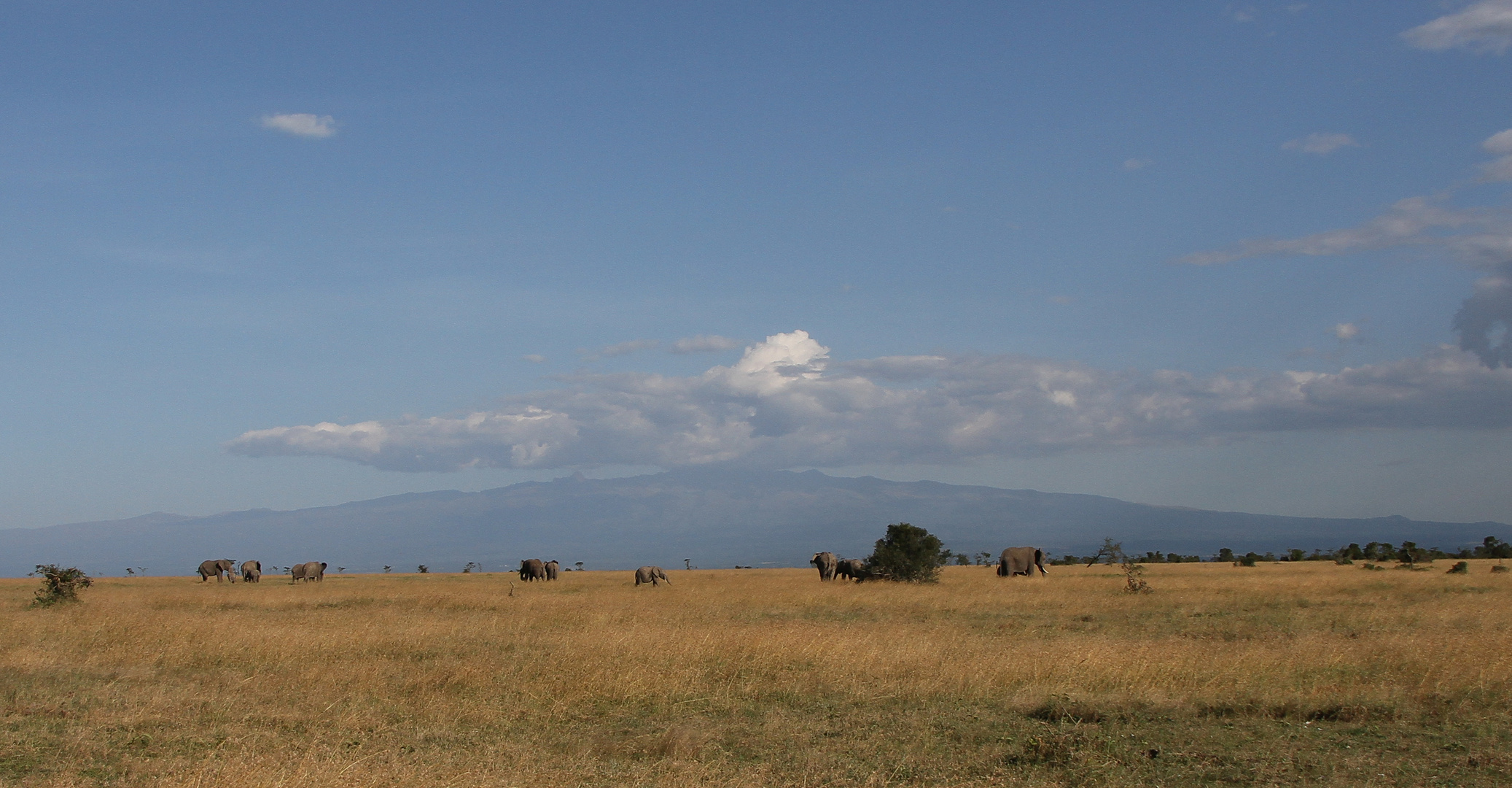 Weitblick auf den Mont Kenya