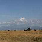 Weitblick auf den Mont Kenya