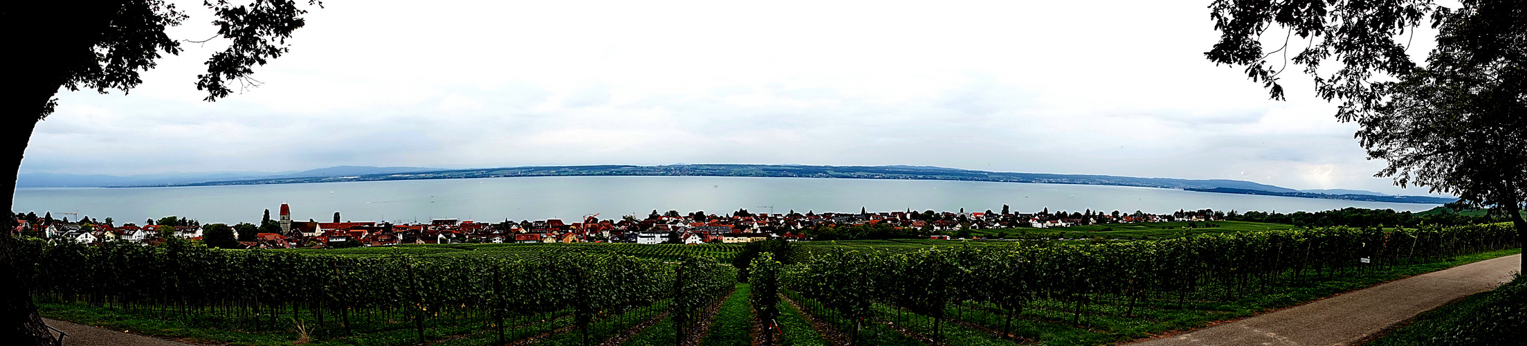 Weitblick auf die Weinberge und den Bodensee