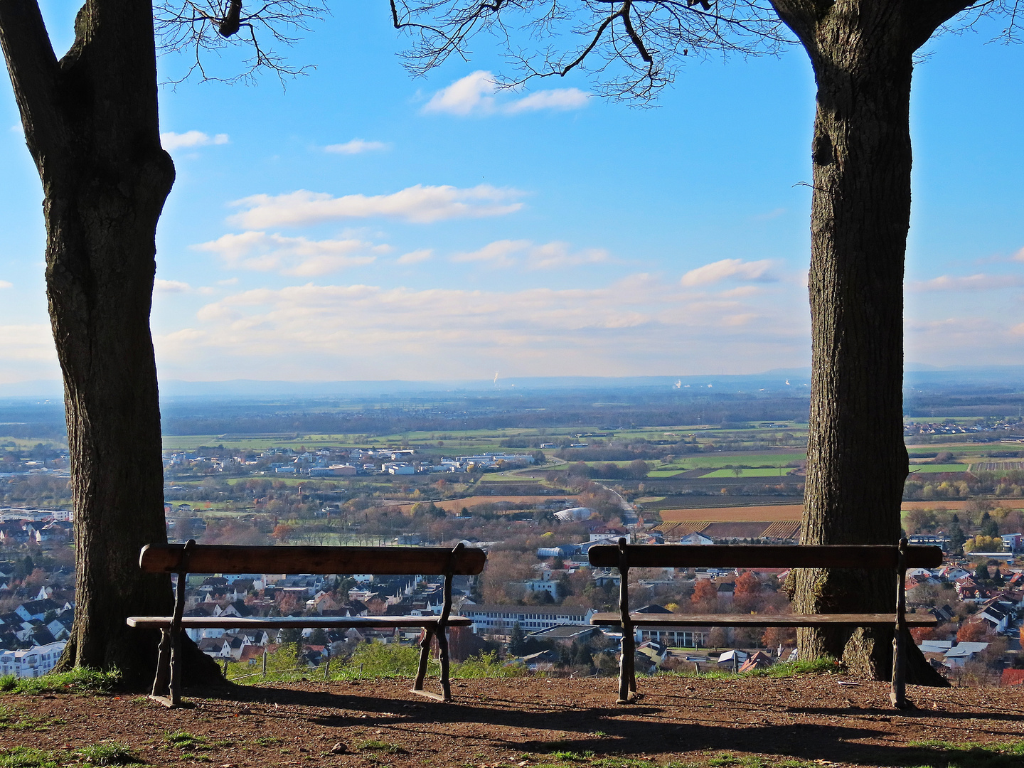 Weitblick