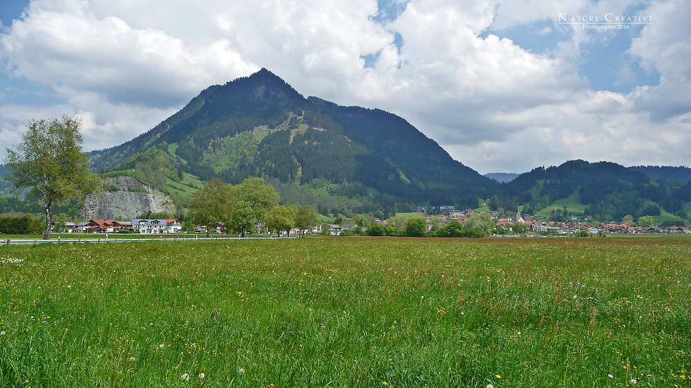 "Weitblick bei Burgberg 2"