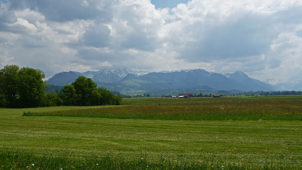 "Weitblick bei Burgberg"