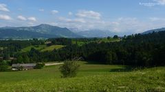 "Weitblick bei Diepolz auf 1037m 1"