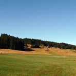 "Weitblick* bei Wertach"