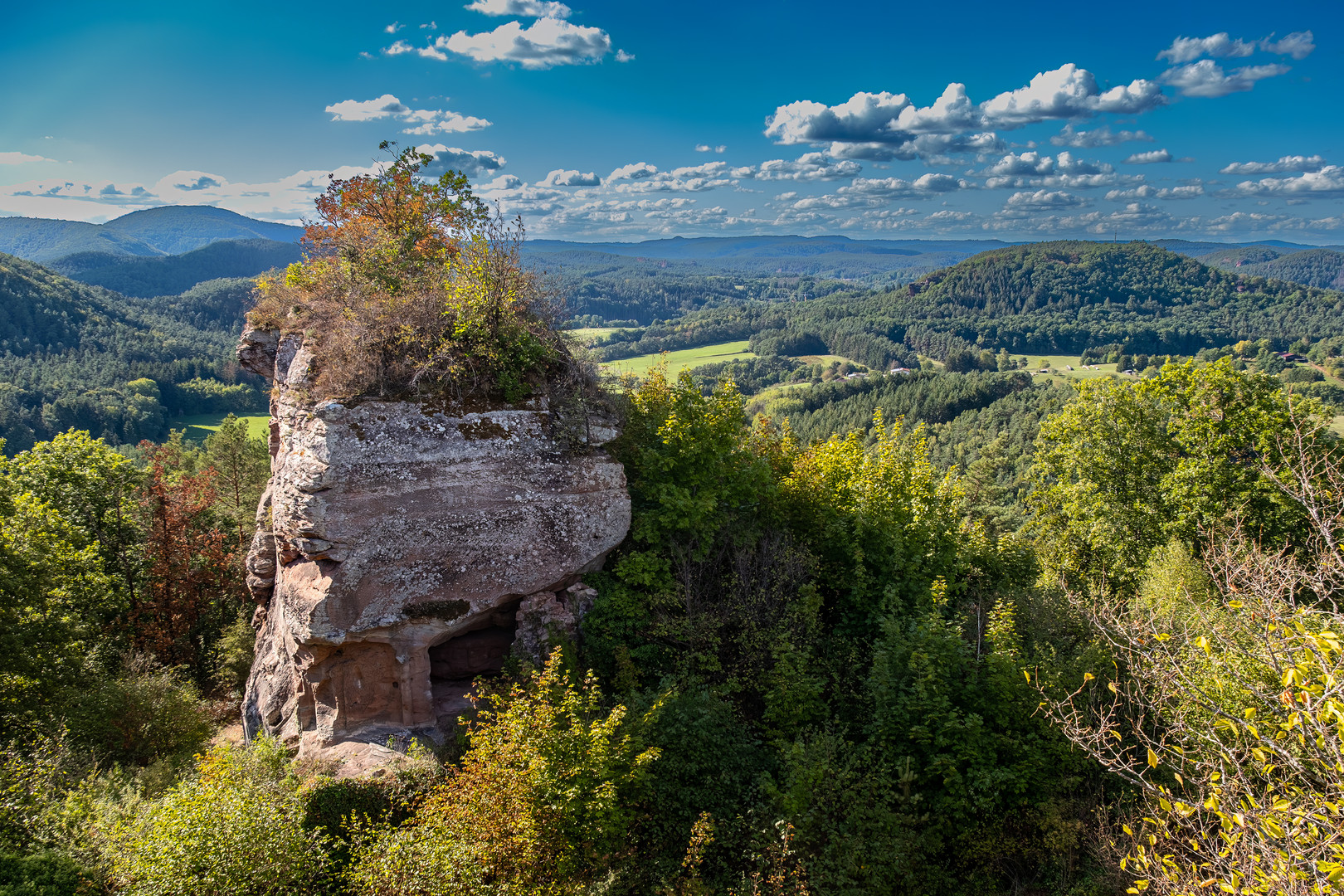 Weitblick