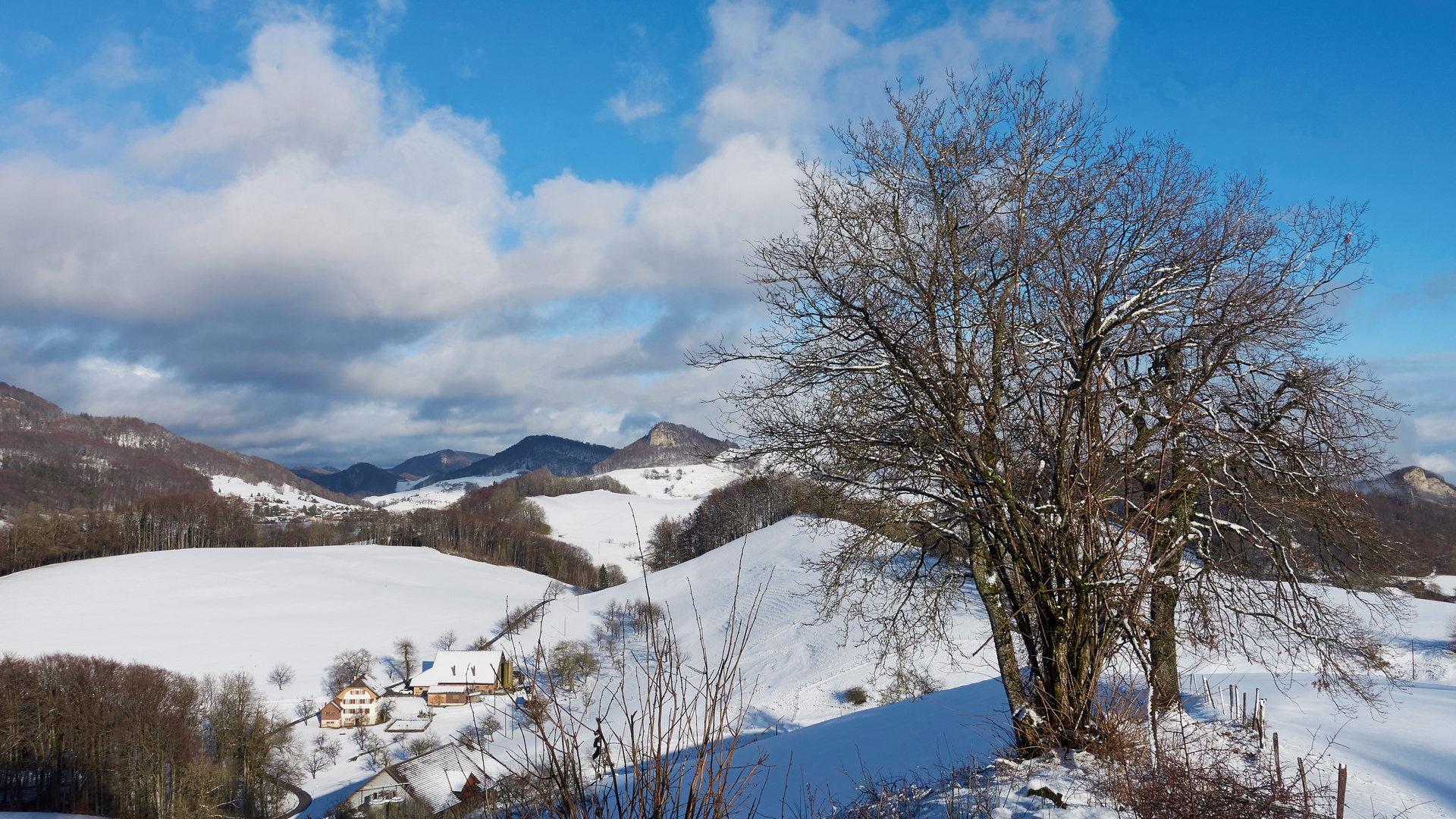 Weitblick