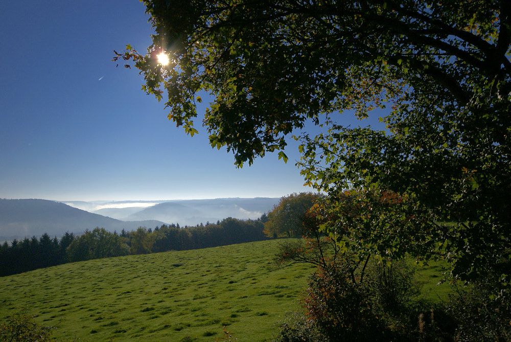 Weitblick