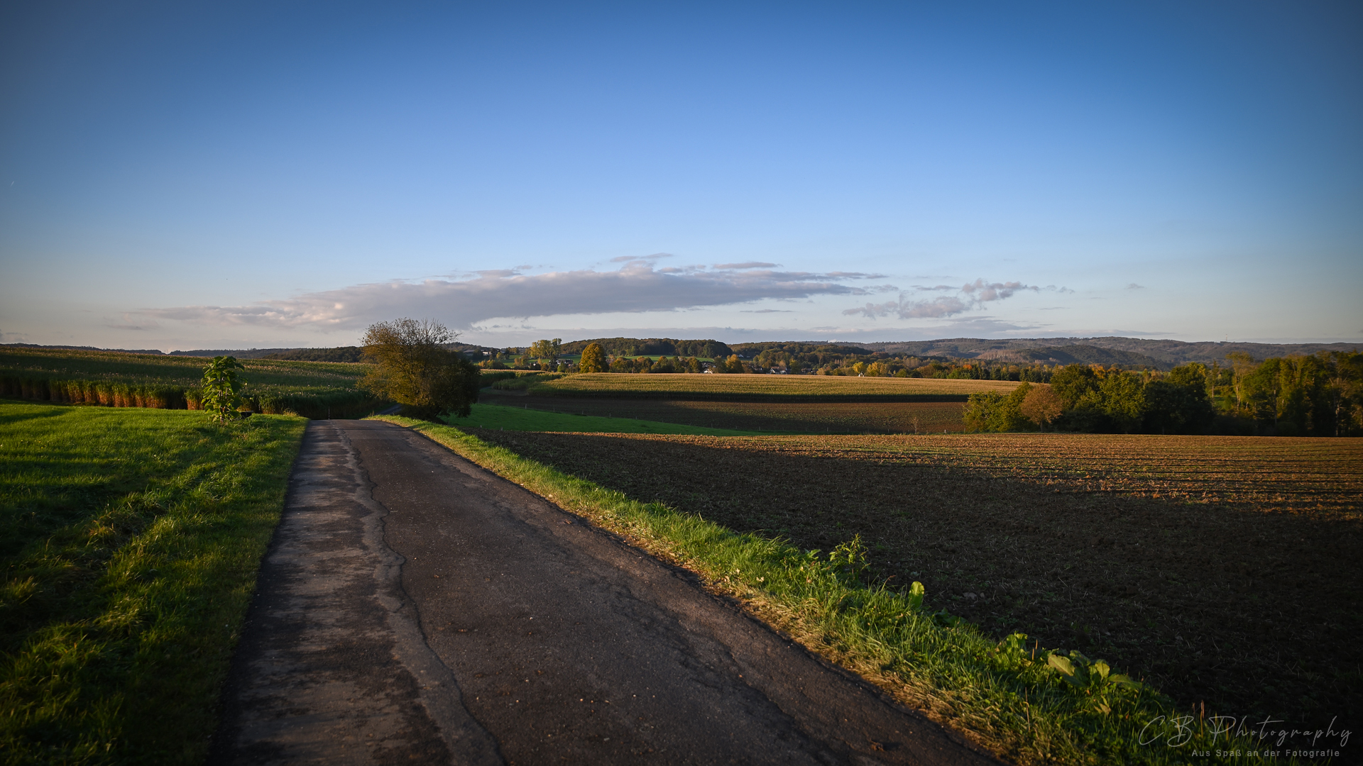 Weitblick