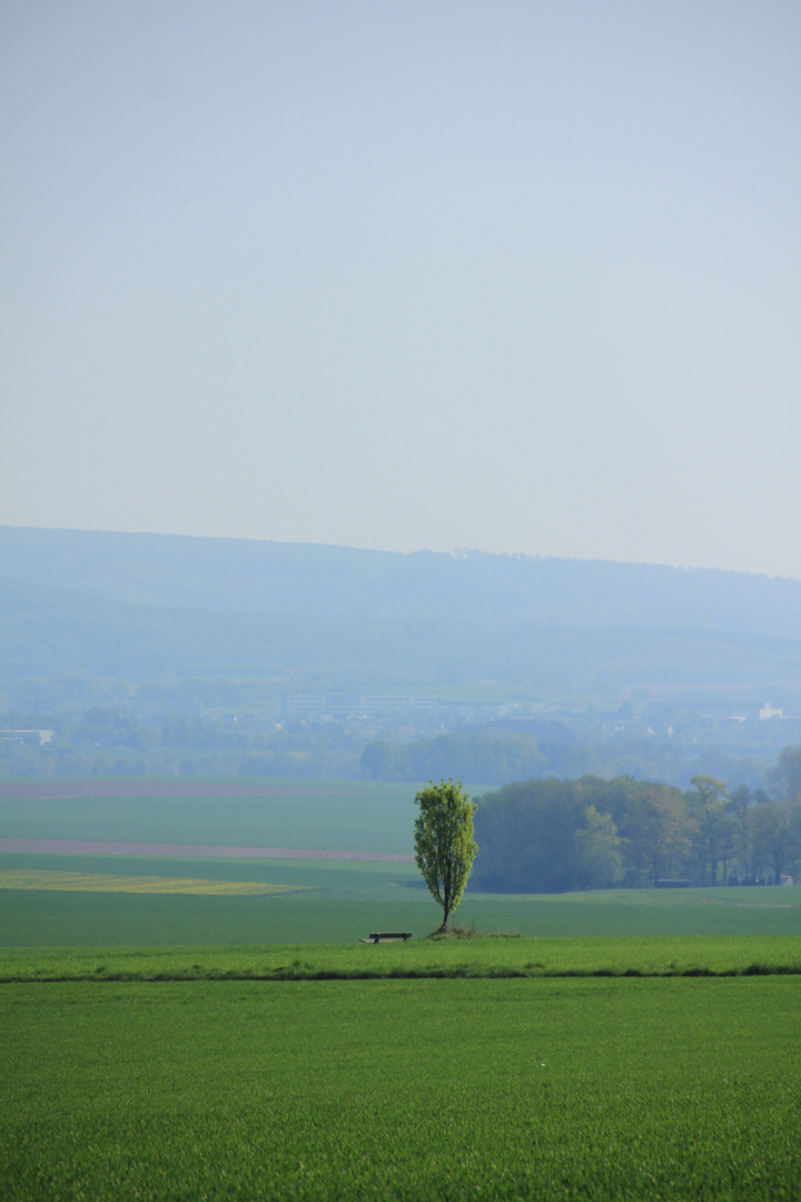 Weitblick