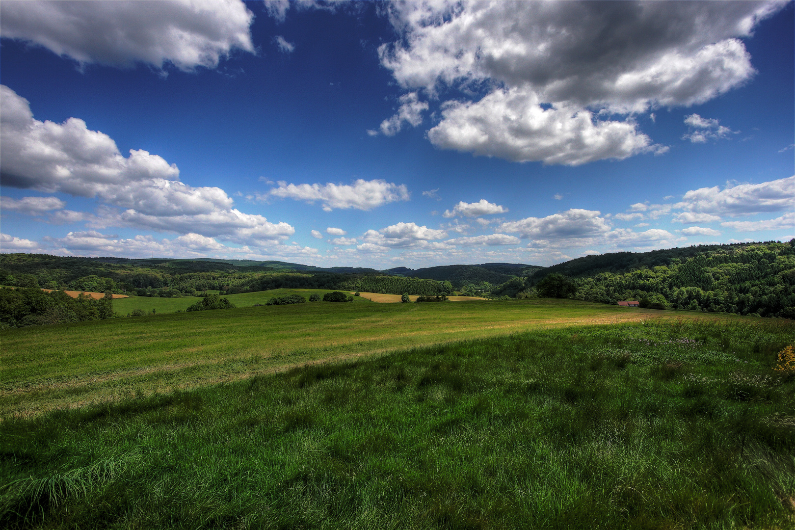 Weitblick