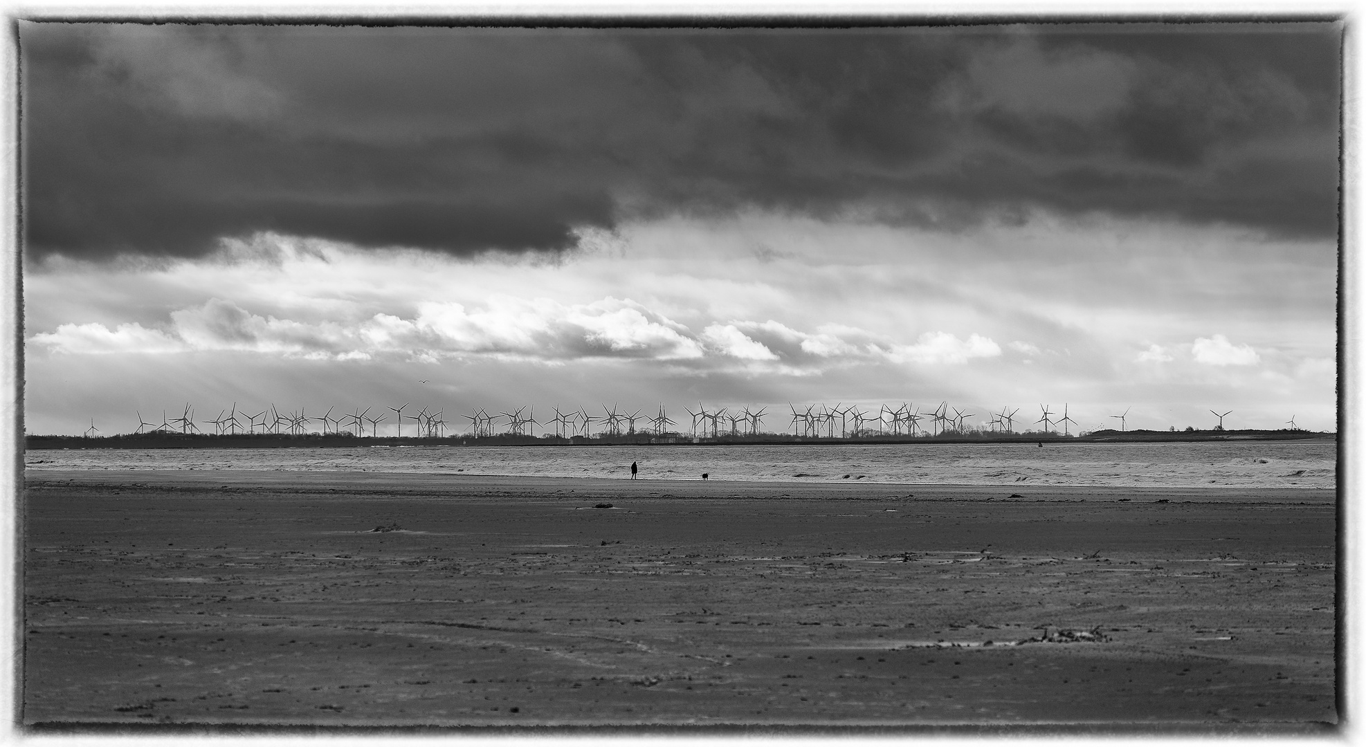 Weitblick  - Frau mit Hund am Strand