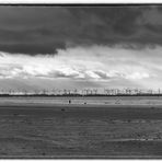 Weitblick  - Frau mit Hund am Strand