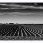 Weitblick im Frühling