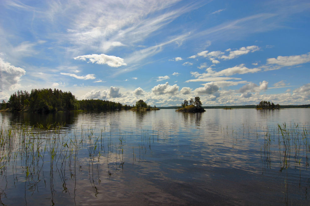 Weitblick in Natur