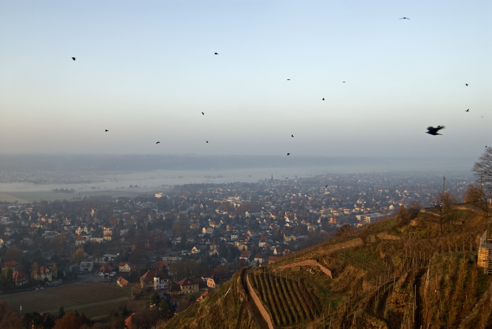 Weitblick - Morgendämmerung am Spitzhaus Radebeul