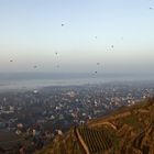 Weitblick - Morgendämmerung am Spitzhaus Radebeul