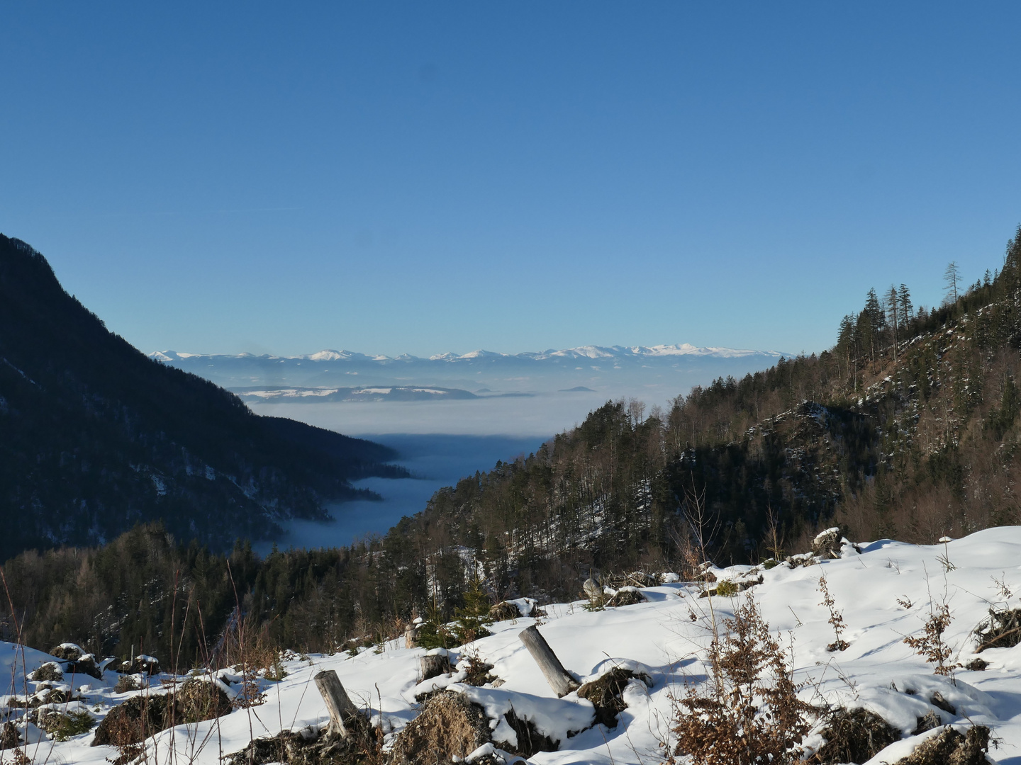 Weitblick ober dem Nebelmeer (Klagenfurter Becken)