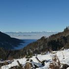 Weitblick ober dem Nebelmeer (Klagenfurter Becken)