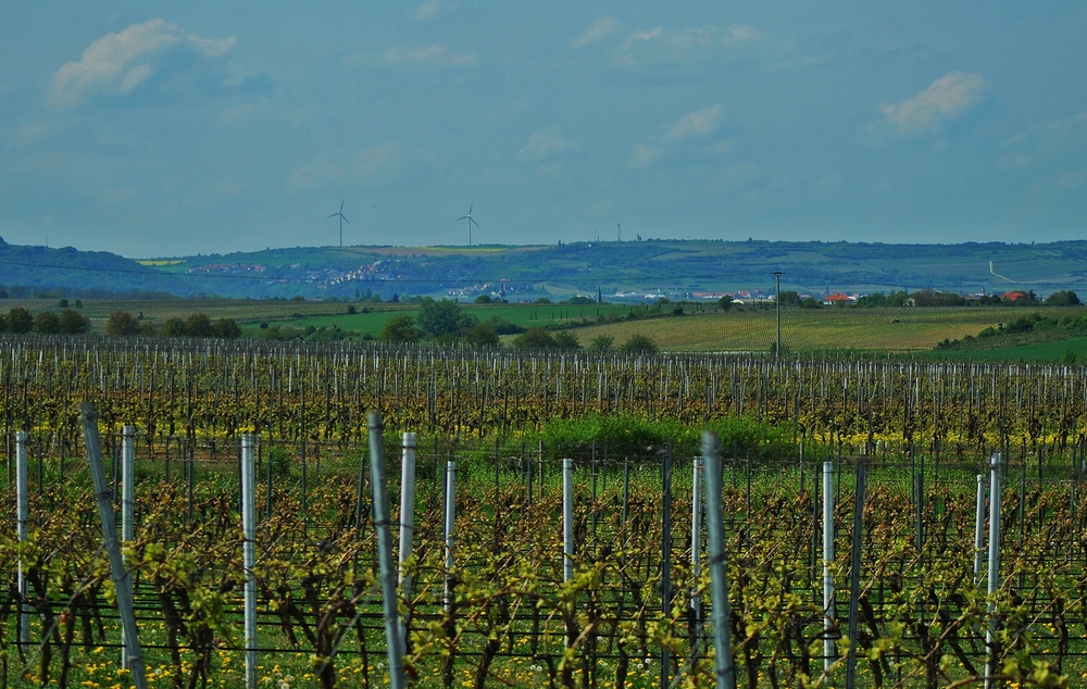 Weitblick über die Pfalz