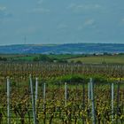 Weitblick über die Pfalz