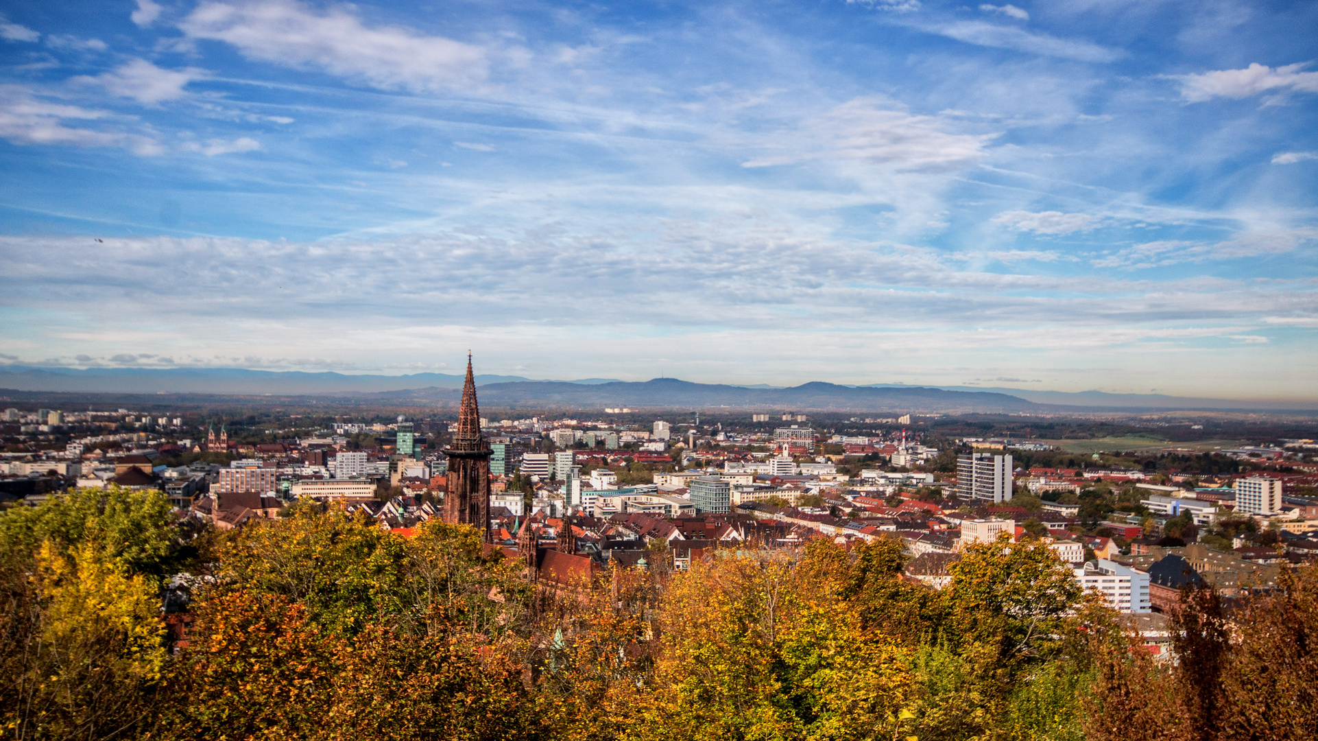 Weitblick über Freiburg