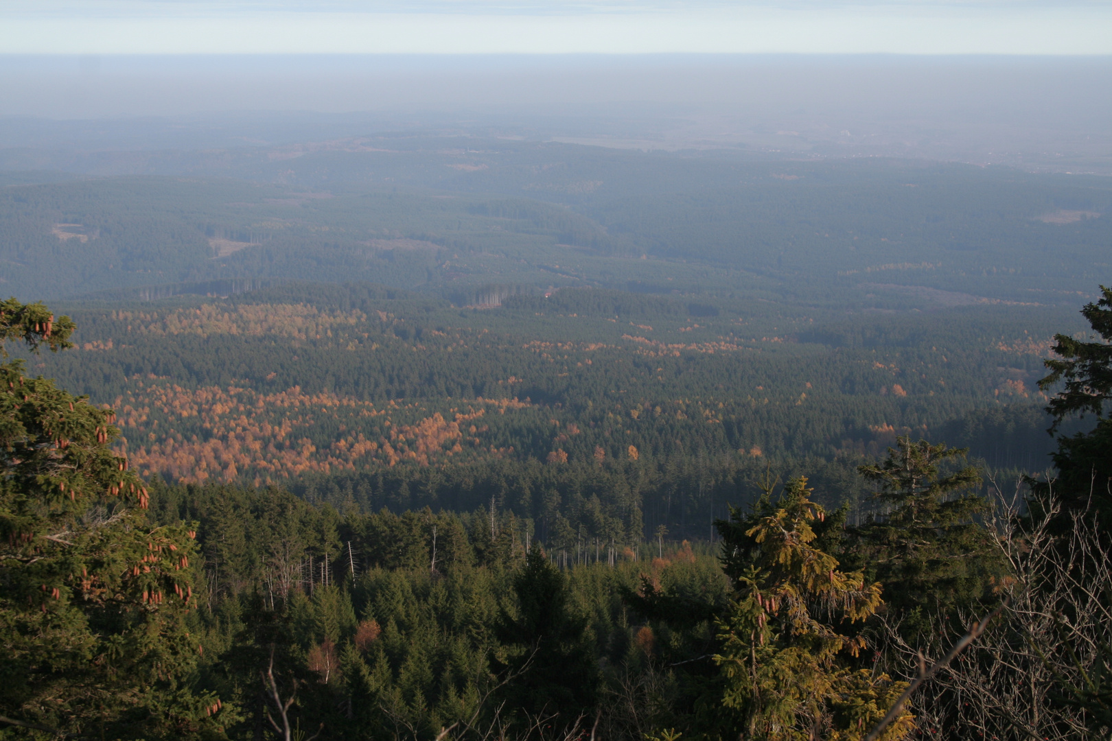 Weitblick über herbstliches Niemandsland