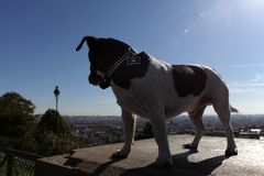 Weitblick über Paris