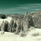 Weitblick - vom Hochschwarzwald zu den Alpen