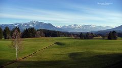 "Weitblick von Akams zu meinem Hausberg den Grünten (1738m)"