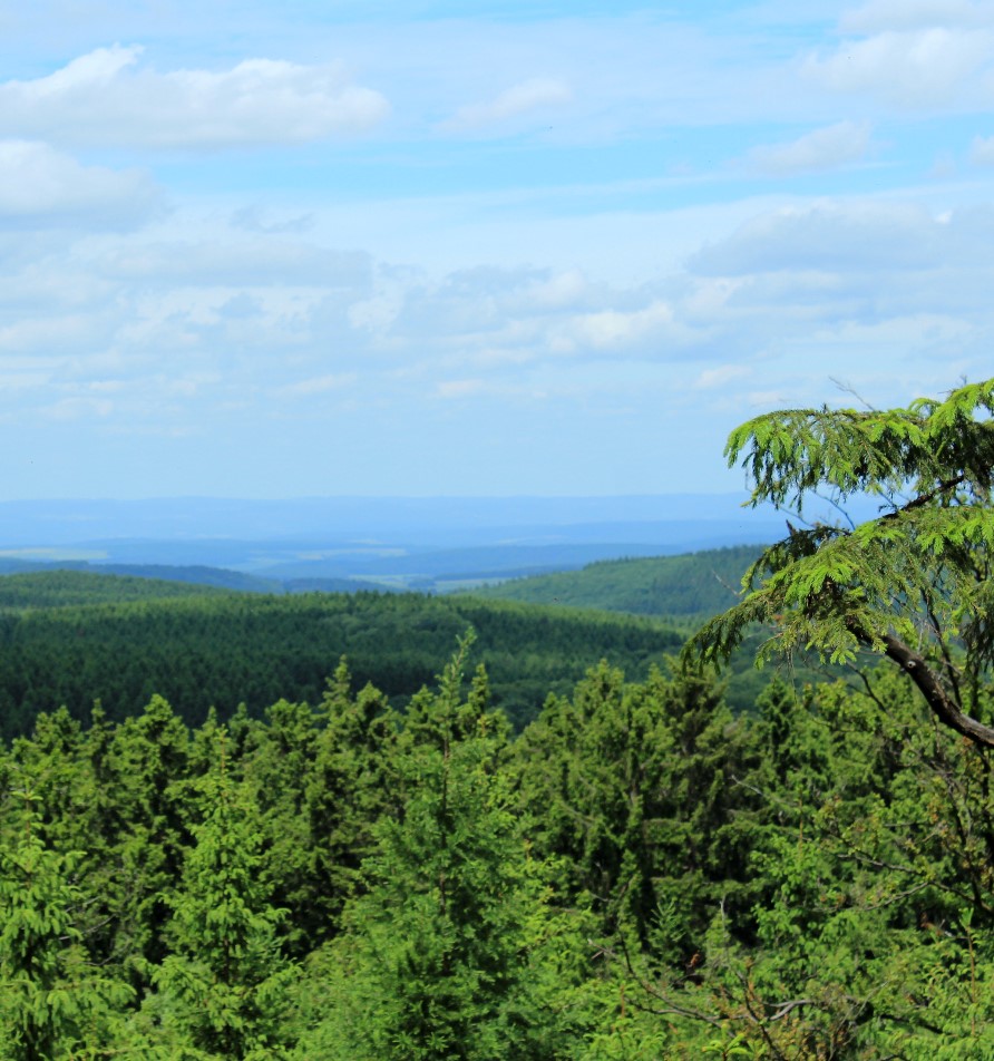 Weitblick von Vordertaunus nach Hintertaunus