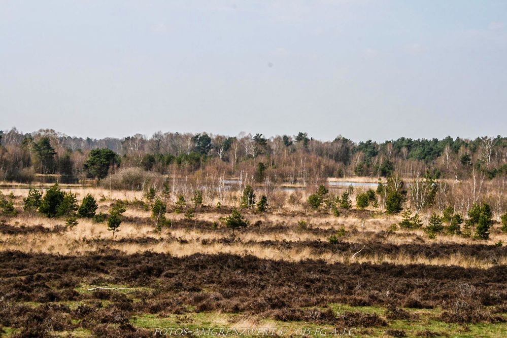 Weite Aussicht im Gildehauser Veen