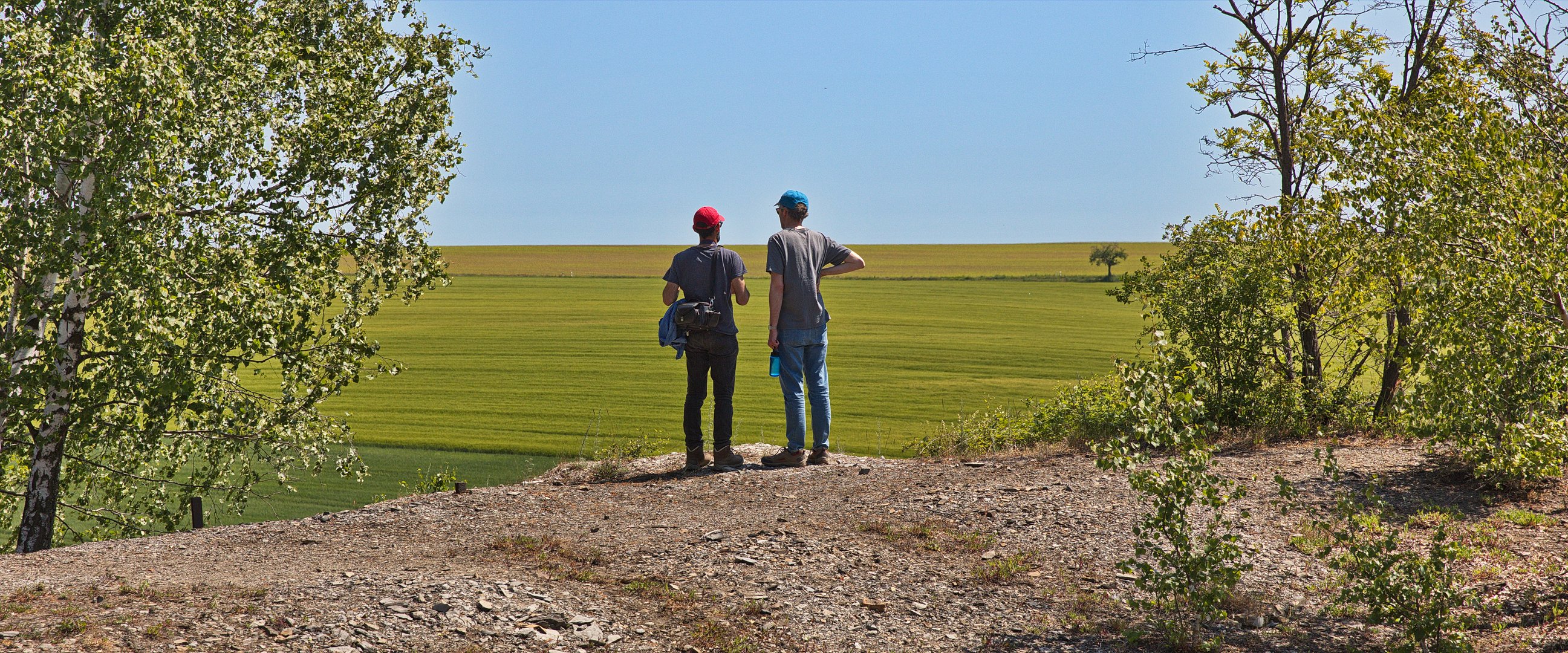 Weite Aussicht - weiter Blick ins Mansfelder Land