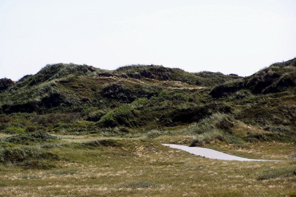 Weite Dünenlandschaft auf Langeog