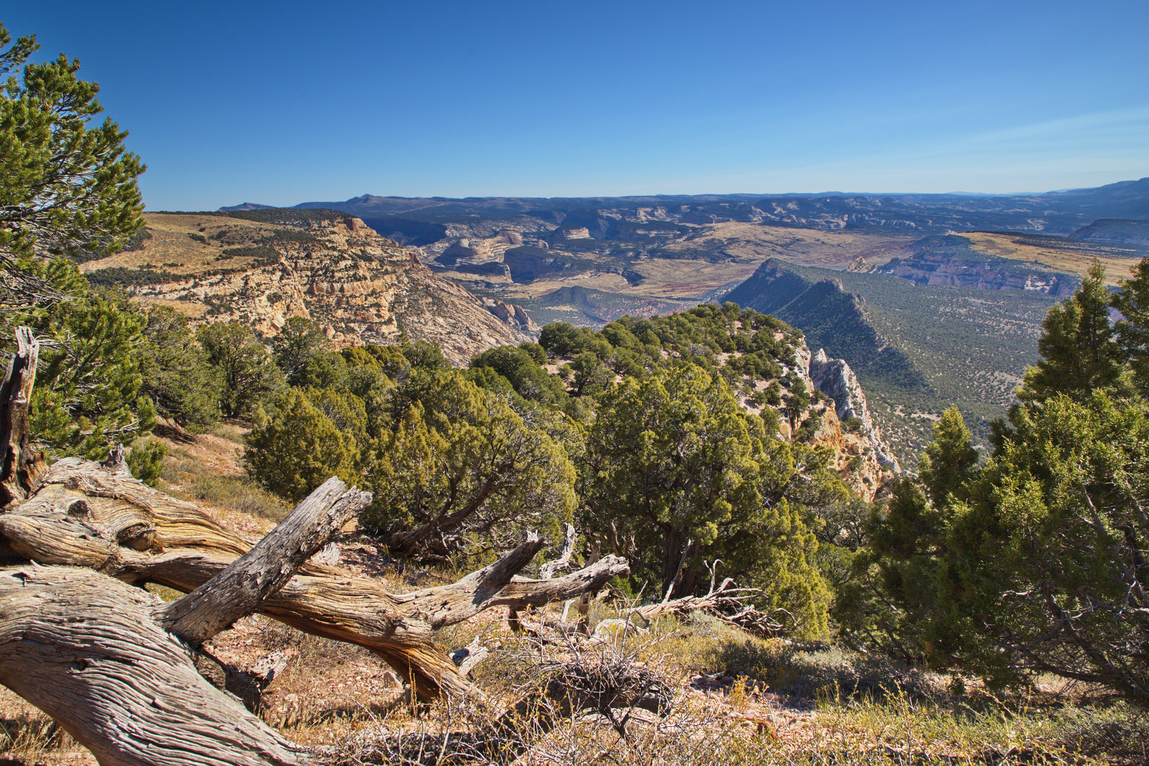 Weite im Dinosaur National Monument