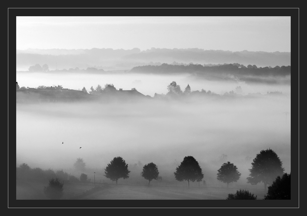 Weite im Nebel" Brume matinal*