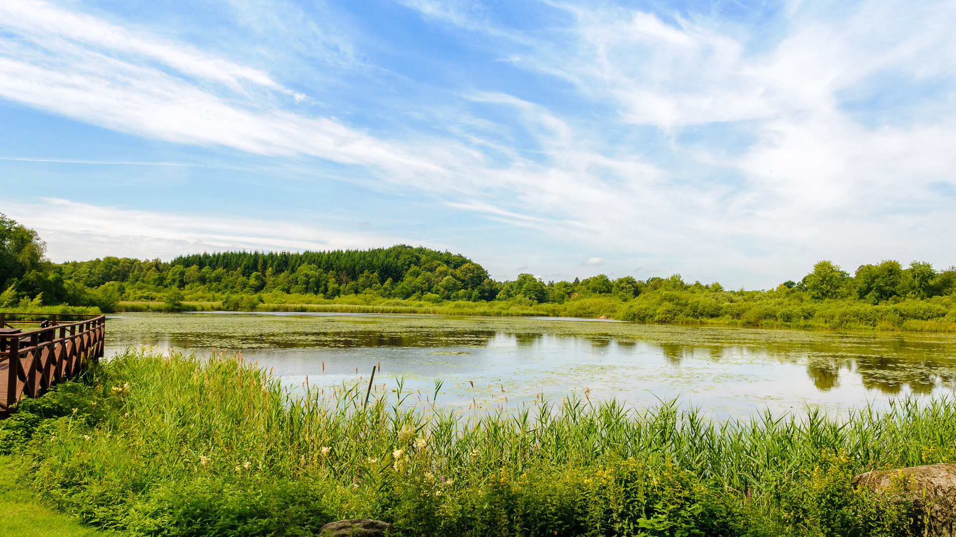 Weite im Sommer