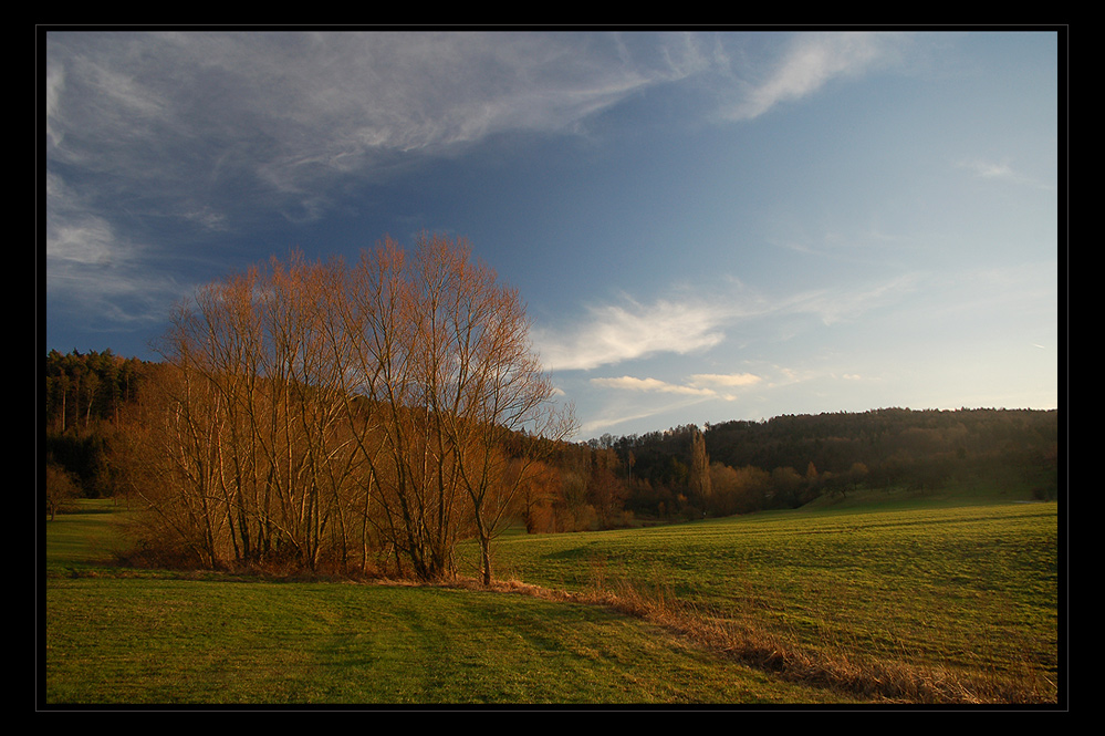 weite Landschaft 1