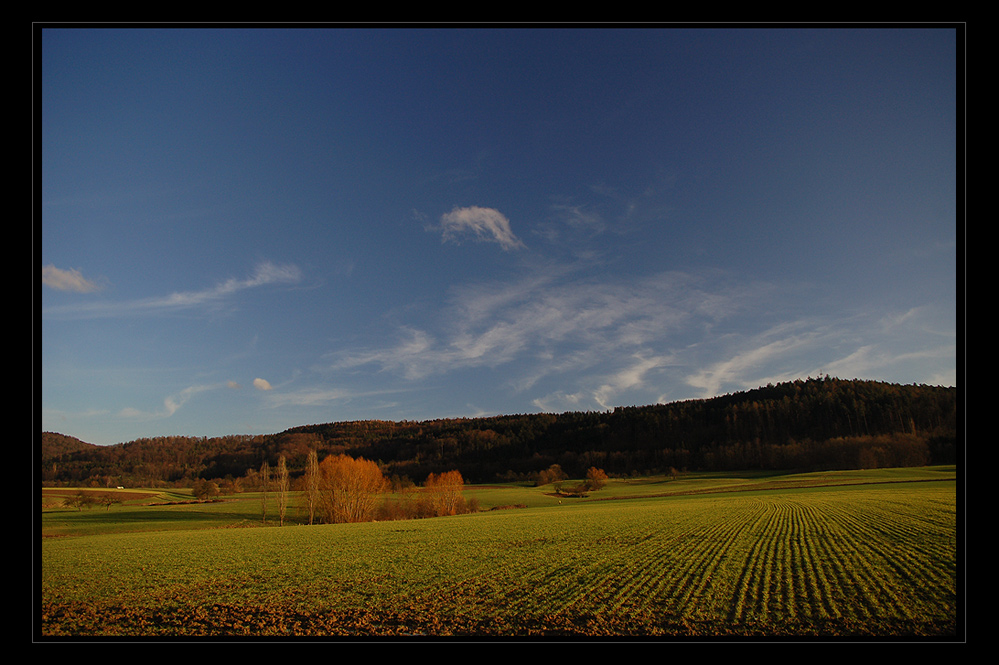 weite Landschaft