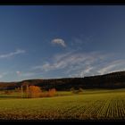 weite Landschaft